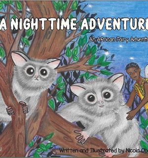 Nighttime adventure by Nicola Obertik